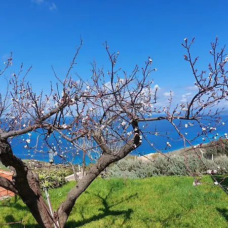 Azure Horizon - Panoramic Myrtos Sea View Angon