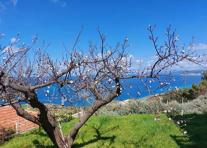 Azure Horizon Apartment, Kefalonia Angon
